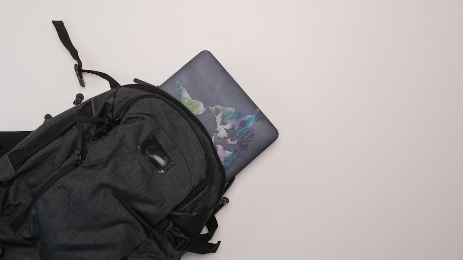 Essential Gear for Wheelchair Users on the Go
