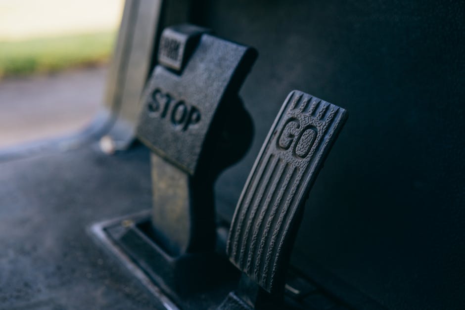 Essential Gear for Wheelchair Users on the Go